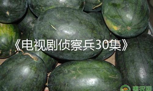 《电视剧侦察兵30集》：揭示正义与勇气，带你一起吃瓜娱乐！