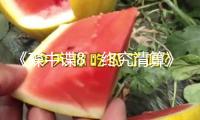 《碟中諜8：終究清算》票房口碑雙豐收！打響暑期檔電影熱潮榜首槍！