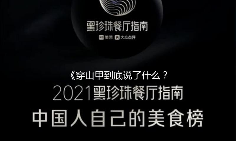《穿山甲到底说了什么?揭秘娱乐圈励志故事,助你追梦!》