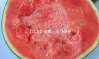 《北上》白鹿：運河便是我的家園丨人物 — 新京報
