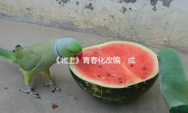 《北上》青春化改编，成功了吗？