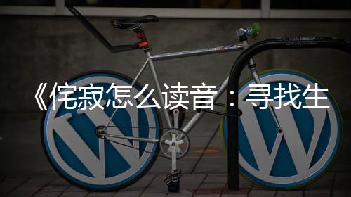 《侘寂怎么读音：寻找生活中的美好与娱乐》