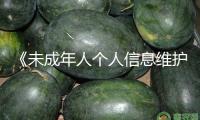 《未成年人個人信息維護建議》發布