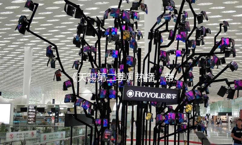 《天赐第二季》热播，带你畅享娱乐盛宴，收获快乐与梦想！