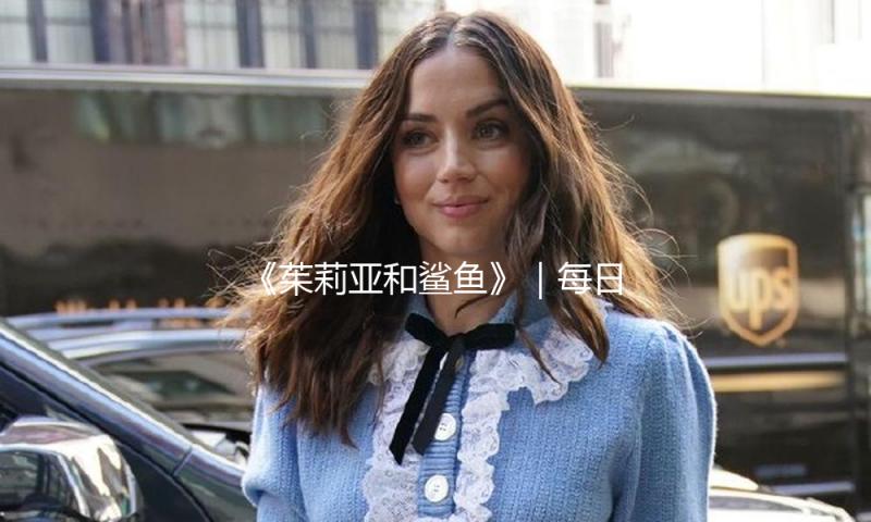 《茱莉亚和鲨鱼》｜每日一书 — 新京报