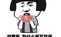 《萌探奇遇記》首播收視連任榜首！多維數據領跑同類綜藝！第二期精彩持續！