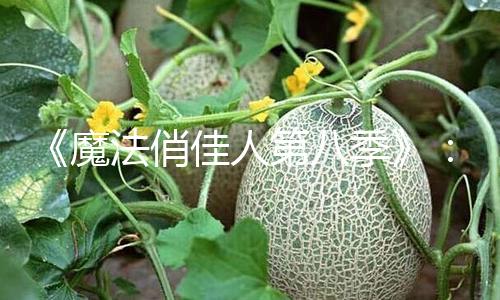 《魔法俏佳人第八季》：勇敢追梦，探索青春的魔法时刻！