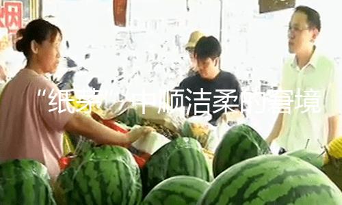 “纸茅”中顺洁柔的窘境
