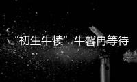 “初生牛犢”牛馨冉等待成為柔道“大牛”