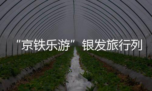 “京铁乐游”银发旅行列车首发
