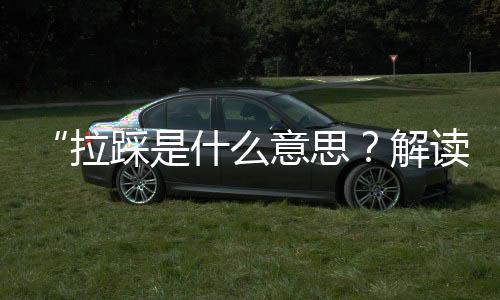 “拉踩是什么意思？解读娱乐圈吃瓜风潮，分享正能量故事”