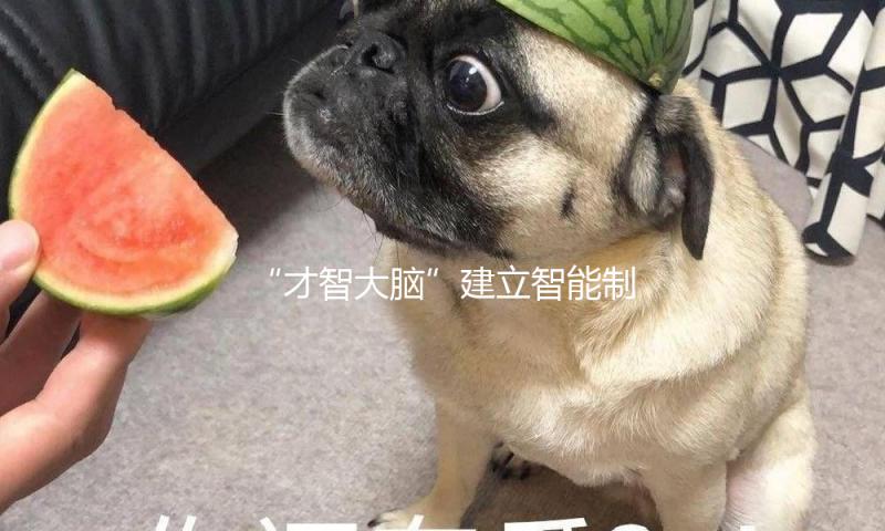 “才智大脑”建立智能制作“未来现场”