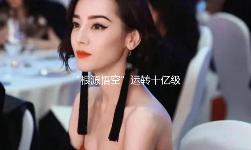 “根源悟空”运转十亿级AI微调大模型