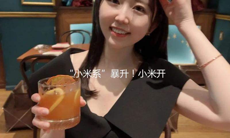 “小米系”暴升！小米开源MiMo推理大模型