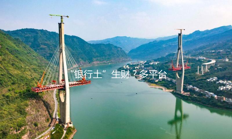 “银行土”生财？多平台下架，江苏消保委：或损害顾客权益
