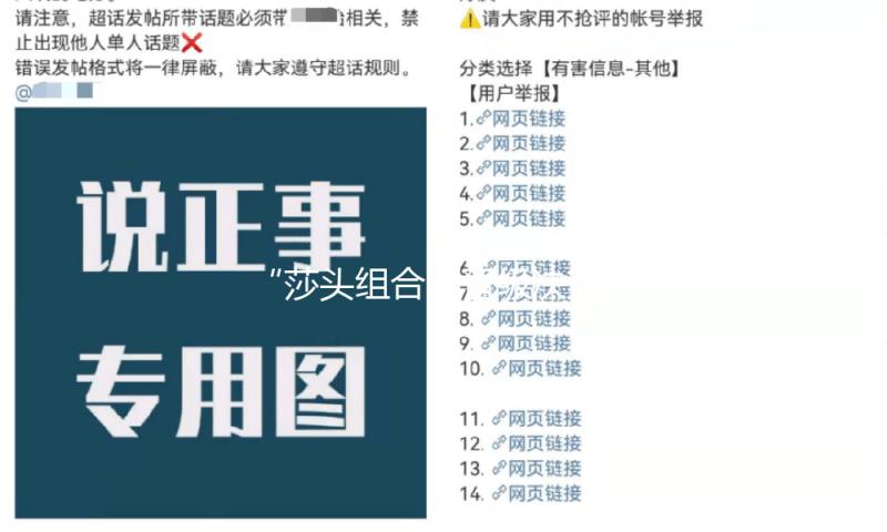 “莎头组合”晋级决赛，全力冲击世乒赛混双三连冠