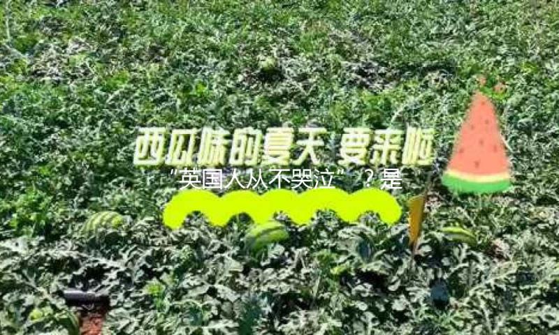 “英国人从不哭泣”？是什么改变了英国人对眼泪的观点 — 新京报