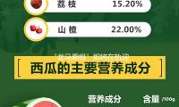“龍馬乘組”即將在軌迎候隊友到來 “太空出差”之旅已進入倒計時