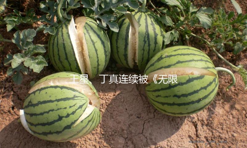 王星、丁真连续被《无限逾越班》捧杀，揭开了娱乐圈的隐秘遮羞布
