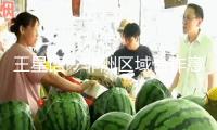 王星語：非洲區域合作意向帶來三點提示