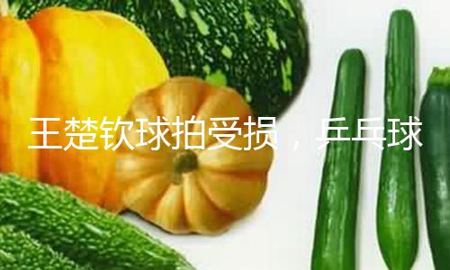 王楚钦球拍受损，乒乓球裁判揭秘大赛球拍检测