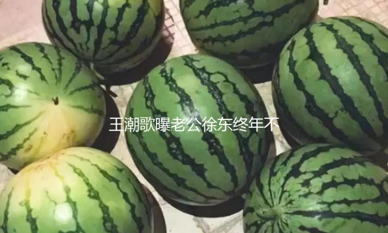 王潮歌曝老公徐东终年不回家！揭露车牌求助网友，只为问清一件事
