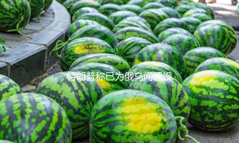 特朗普称已为俄乌问题设最终期限 到时美国情绪或生变 — 新京报