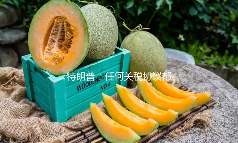 特朗普：任何关税协议都将在4月2日办法收效后达到 — 新京报