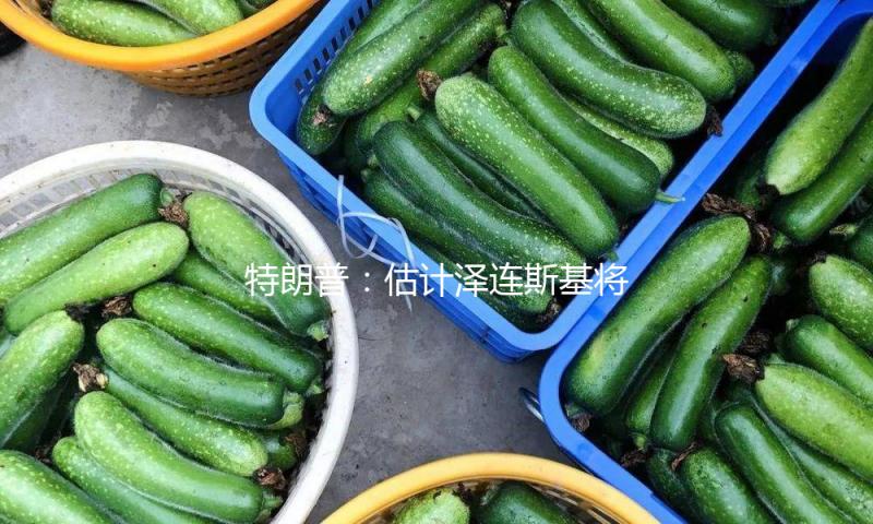 特朗普：估计泽连斯基将与美国签署矿藏协议