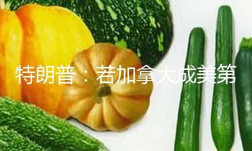 特朗普：若加拿大成美第51州就将保其安全