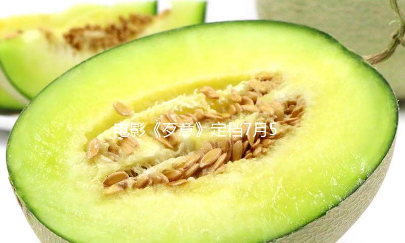 电影《歹意》定档7月5日 张小斐领衔社会悬疑论题之作