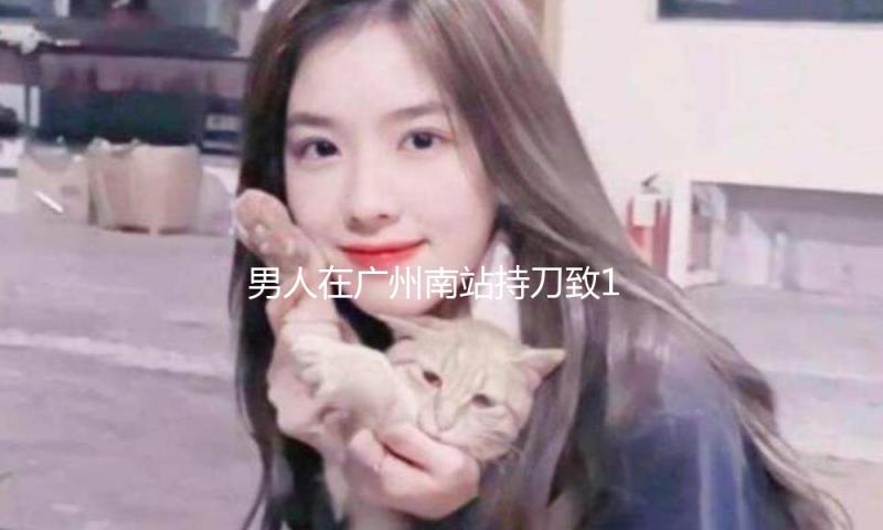 男人在广州南站持刀致1人受伤 广铁公安：嫌犯被操控 — 新京报
