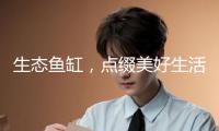 生態魚缸，點綴美好生活