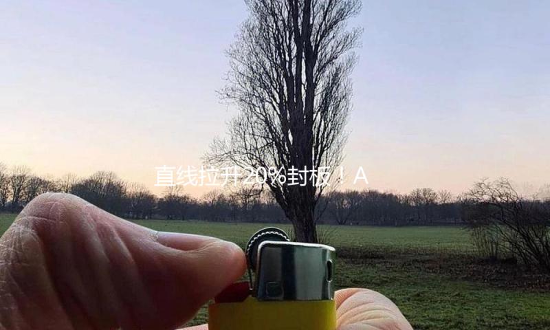 直线拉升20%封板！A股组成生物、医疗美容板块忽然大迸发