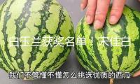 白玉蘭獲獎名單！宋佳白玉蘭封后，張桂梅式講話戳哭全網(wǎng)