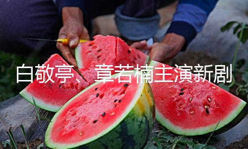 白敬亭、章若楠主演新剧《难哄》2月18日开播 — 新京报