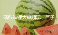 磷酸鐵鋰大單頻現(xiàn)，巨子鎖單加快職業(yè)“洗牌”