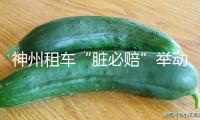 神州租車“臟必賠”舉動收官