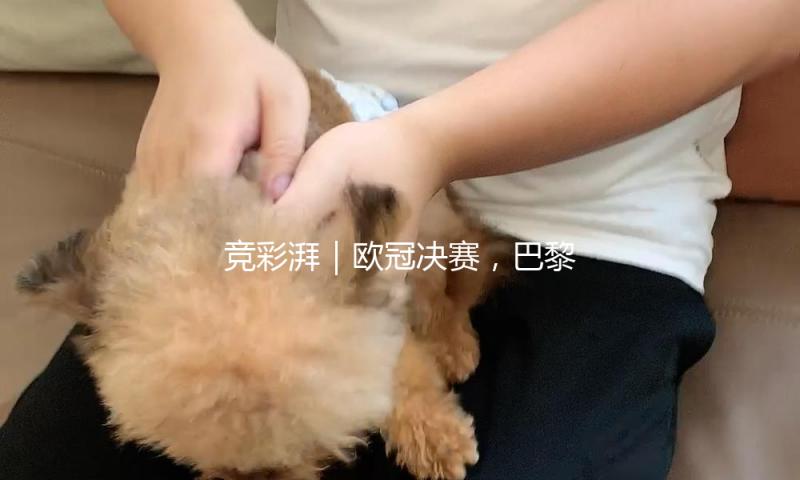 竞彩湃｜欧冠决赛，巴黎、国际米兰谁能登顶？