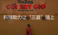 科技助力讓“三夏”插上“才智的翅膀” 田間地頭一片繁忙現象