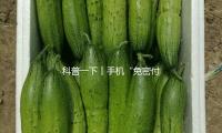 科普一下丨手機“免密付出”為什么被“亮黃牌”？