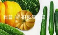 科普｜心臟恢復迷局：“主干道”疏通后為何還有“隱形刺客”