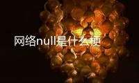 網(wǎng)絡(luò)null是什么梗
