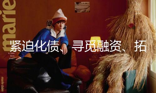 紧迫化债、寻觅融资、拓宽海外商场 “摇摇欲坠”中的哪吒轿车还能扛多久？