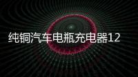 純銅汽車電瓶充電器12V24V伏大功率充電機小車智能通用脈沖修復型