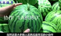 協(xié)作“LABUBU”，優(yōu)衣庫為何熱心聯(lián)名