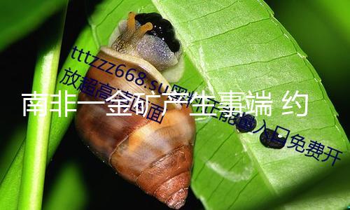 南非一金矿产生事端 约300名矿工被困井下 — 新京报