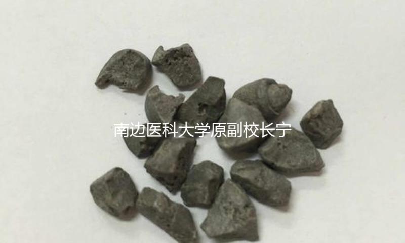 南边医科大学原副校长宁习洲自动投案，承受检查查询