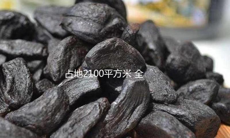占地2100平方米 全新数字艺术交际空间MADverse露脸朝外UIC