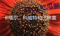 卡塔爾、科威特和巴林宣告從頭敞開領空